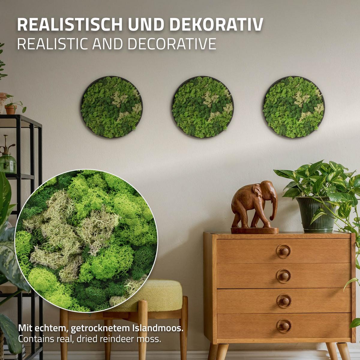 MOOSBILD Rund Ø 30 cm Mooswand Indoor mit Echtem Islandmoos und Holzrahmen Grün Pflegefrei - Salbeigrün, Naturmaterialien (30/30/3cm) - ECD-Germany