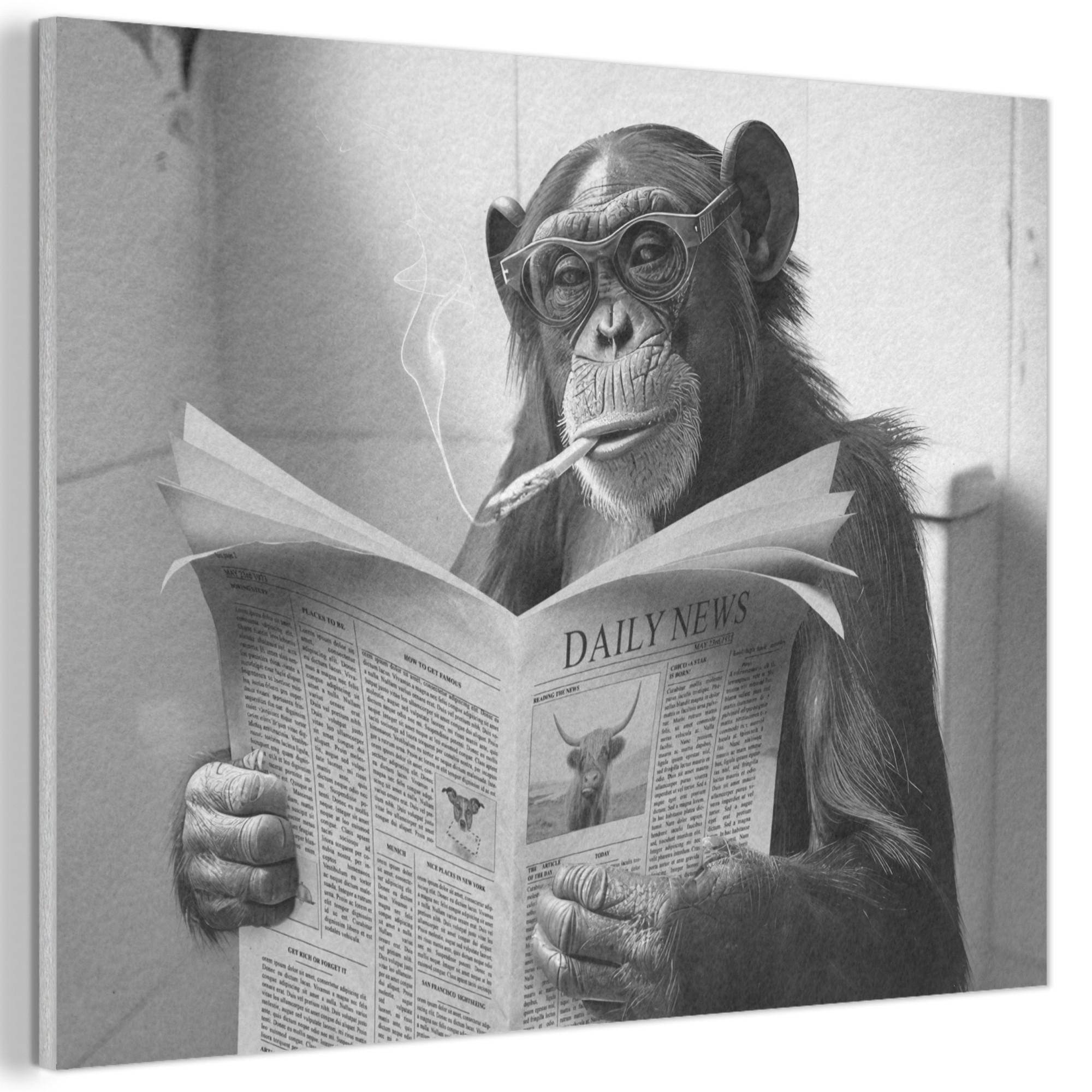 AKUSTIKBILD Affe - WC - Zeitung - Schwarz-Weiß - Humor Gemälde 80x60 cm - Hellgrau, Kunststoff (80/60/0.9cm) - MuchoWow