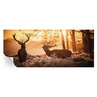 FOTOTAPETE 250x104 cm - Rehe am Morgen - Schwarz, Textil (250/104cm) - Wallfluent