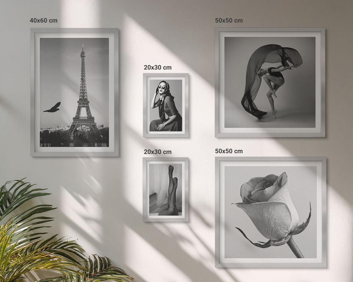 BILDER SET 5er Set - 50x50 cm & 20x30 cm & 40x60 cm Silberner Rahmen - Stilvolle Porträts eleganter Frauen - Silberfarben, Kunststoff (40/60cm) - TULUP