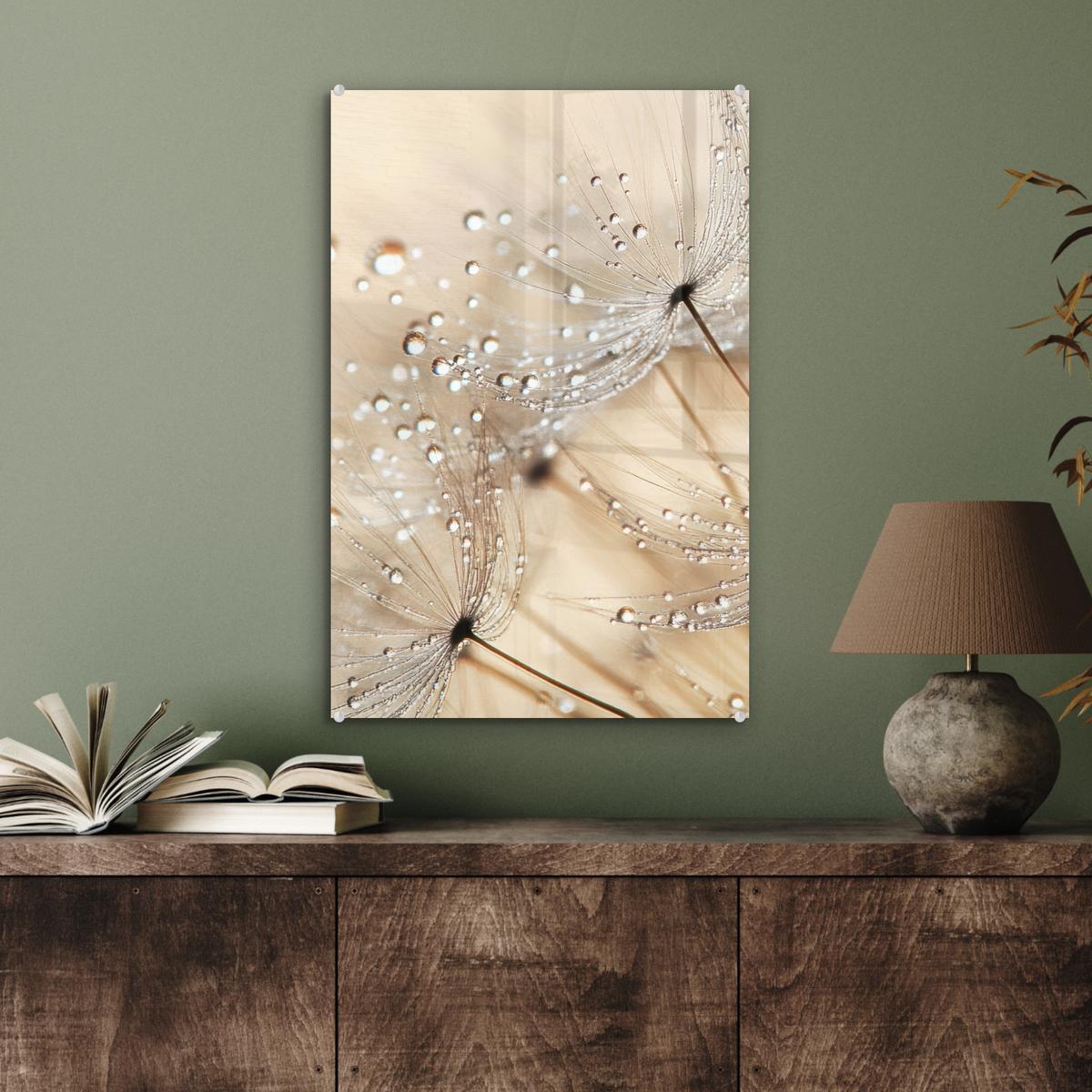 ACRYLGLASBILD Löwenzahn - Abstrakt - Natur - Beige Wanddeko Wohnzimmer 40x60 cm - Braun, Glas (40/60cm) - MuchoWow