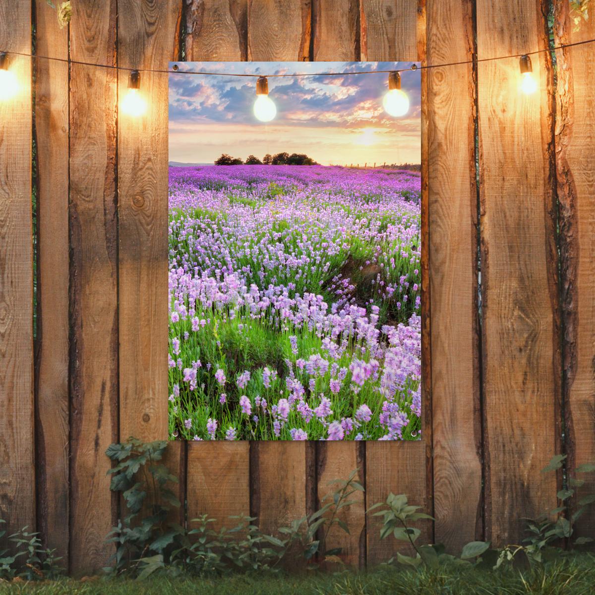 GARTENPOSTER Blumen - Lavendel - Lila - Himmel - Sonnenuntergang - Wiese - Natur Outdoor Bilder 80x120 cm - Flieder, Kunststoff (80/120/0.2cm) - OnlyWow