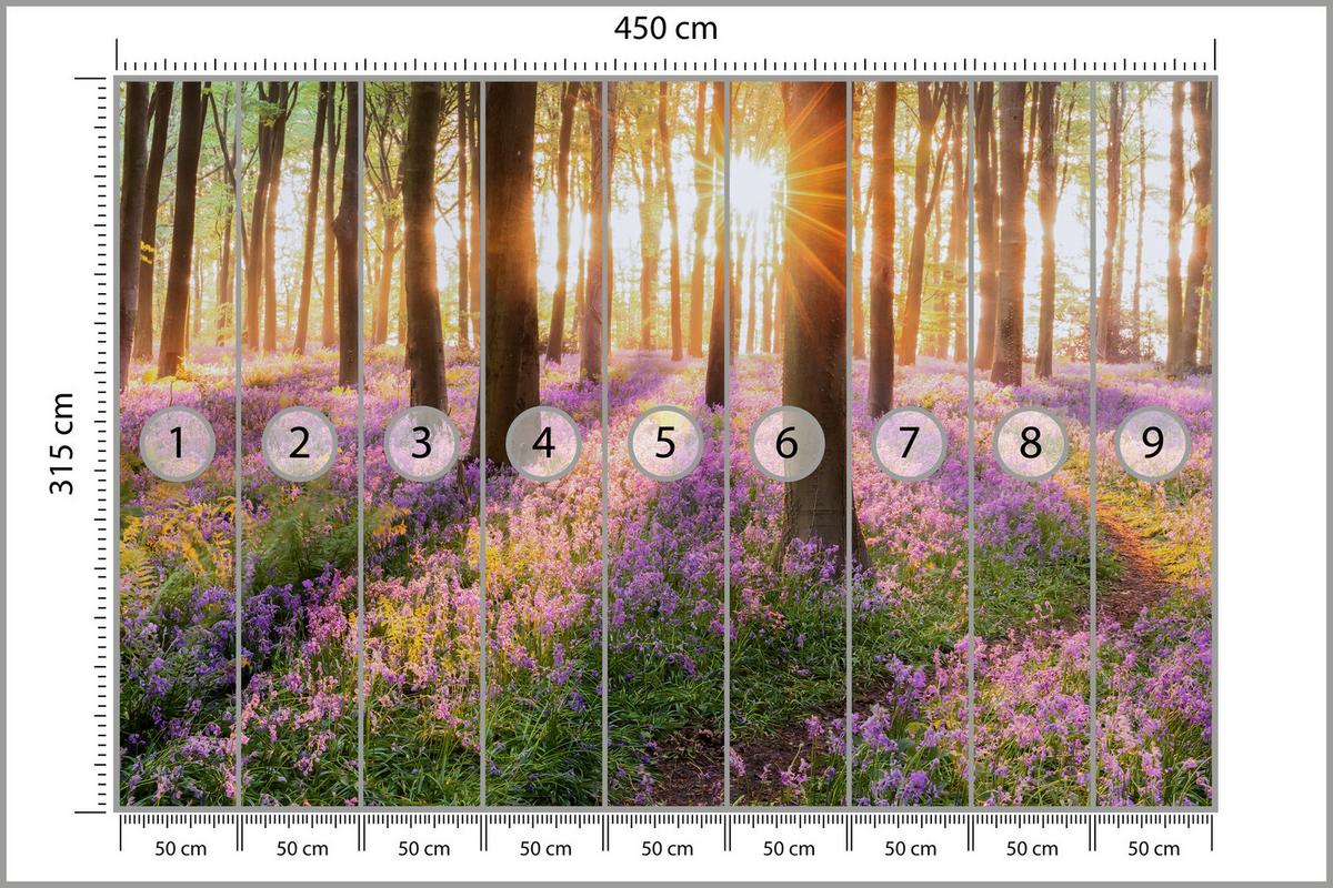 FOTOTAPETE Wald Blumen Sonnenaufgang Landschaft 3D 450x315 - Gelb/Beige, Papier (450/315cm) - Muralo