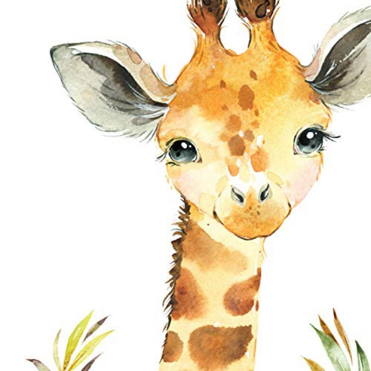 POSTER Set mit 4 Girafa Hipopotamo uricatas und Leon A3 Schwarzer Rahmen - Schwarz, Papier (29.7/3cm) - Nacnic