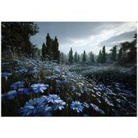 FOTOTAPETE Wald Blumen Blau 350x250 cm - Multicolor, Papier (350/250cm) - Wallarena