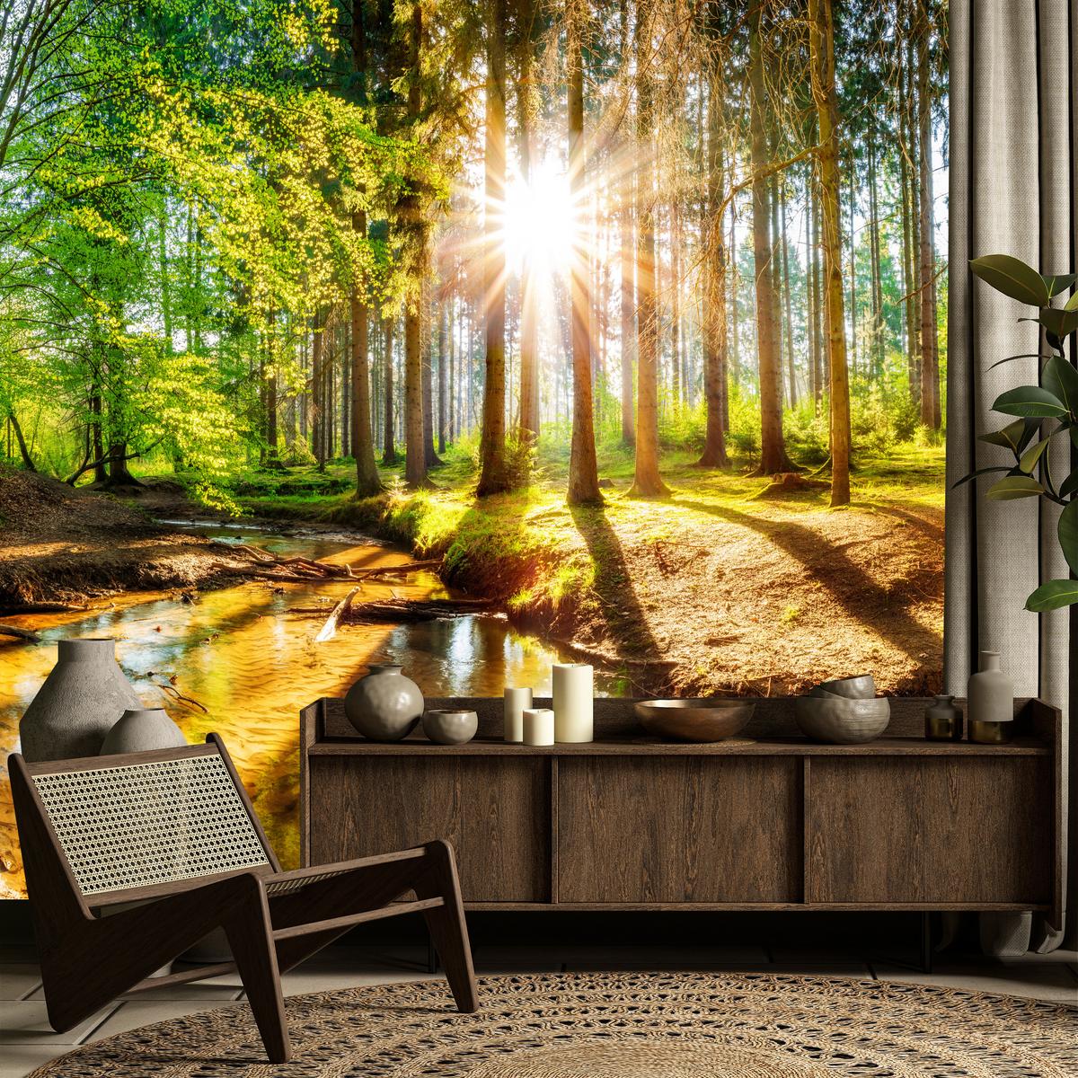 FOTOTAPETE für Wohnzimmer Pflanzen Natur Gras Sonniger Wald Bäume 250x175 - Multicolor, Papier (250/175cm) - Muralo