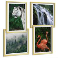BILDER SET 4er Set - 50x50 cm & 40x60 cm Goldrahmen - Tiger Wasserfall Flamingos Natur - Goldfarben, Kunststoff (50/50cm) - TULUP