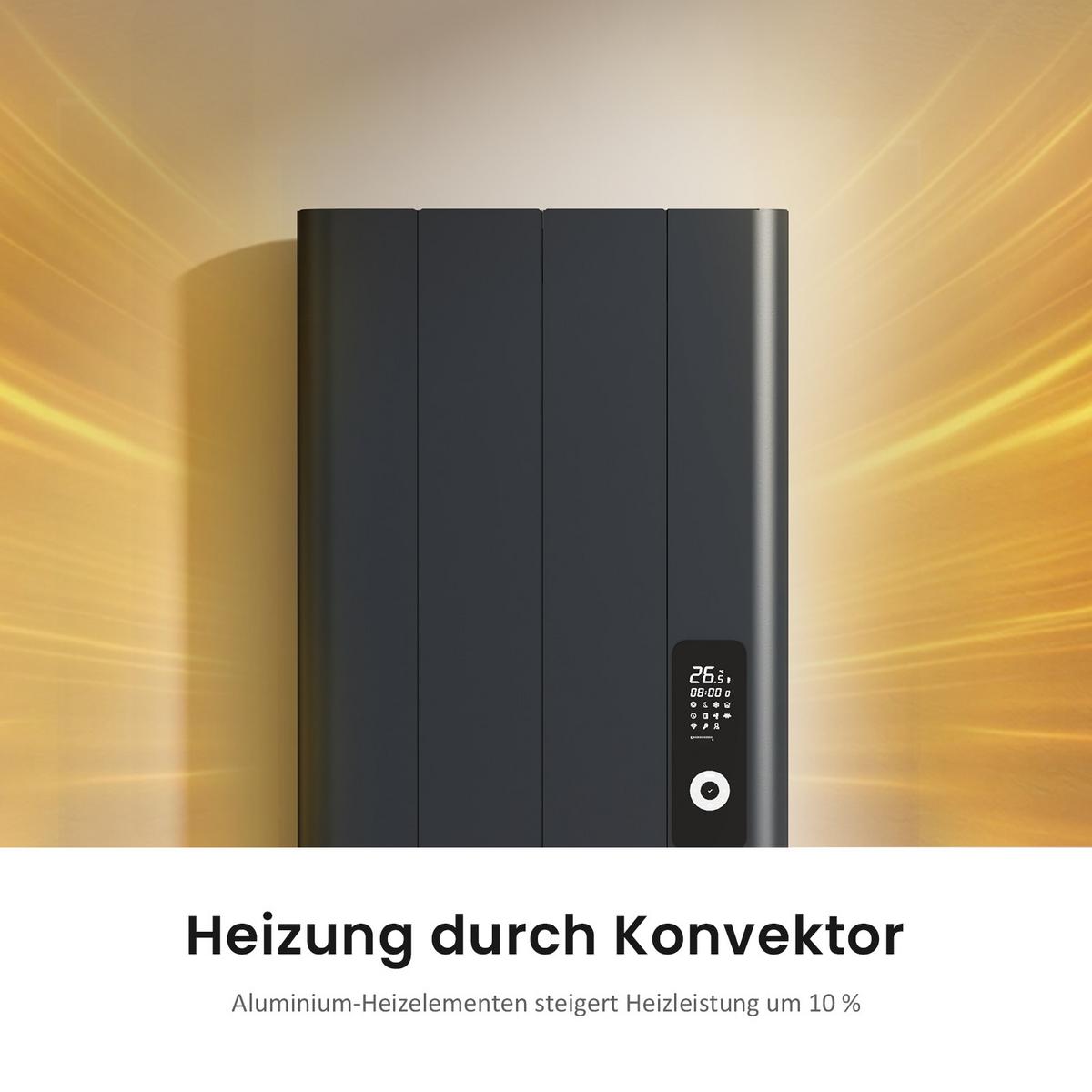 HEIZKÖRPER Anthrazit 160/36,2/6 cm - Anthrazit, Metall (36/160/6cm) - EMKE