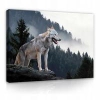 LEINWAND BILDER Wolf Wald Tiere 100x70 - Multicolor, Holzwerkstoff (100/70cm) - Wallarena