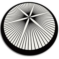 VINYL TEPPICH Ø110 cm Floristische Linien - Schwarz/Weiß, Kunststoff (110/110cm) - TULUP