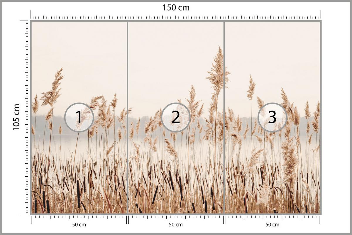 FOTOTAPETE für Wohnzimmer Pflanzen Natur 150x105 - Beige/Braun, Papier (150/105cm) - Muralo