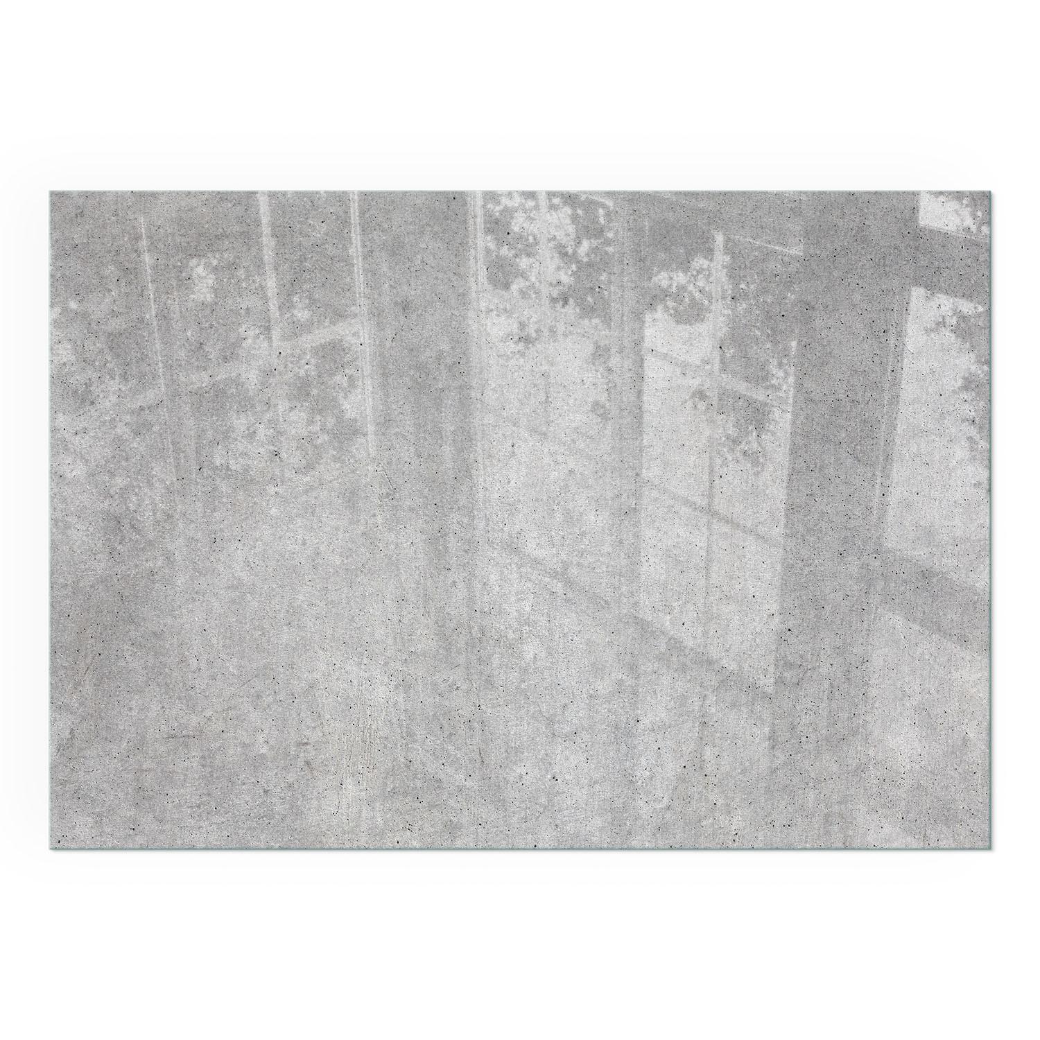 GLASPLATTE für Kamin 100x70 cm - Grau, Glas (100/70/0.4cm) - TULUP
