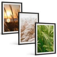 BILDER SET 3er Set - 40x60 cm Schwarzer Rahmen - Gräser farbenfrohe Natur - Schwarz, Kunststoff (40/60cm) - TULUP