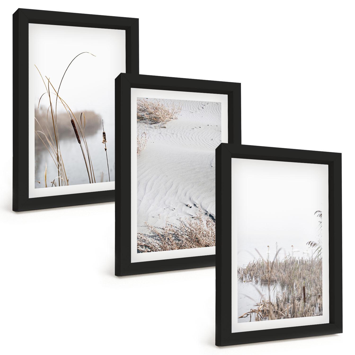 BILDER SET 3er Set - 20x30 cm Schwarzer Rahmen - Wasserpflanzen im Sommer - Schwarz, Kunststoff (20/30cm) - TULUP