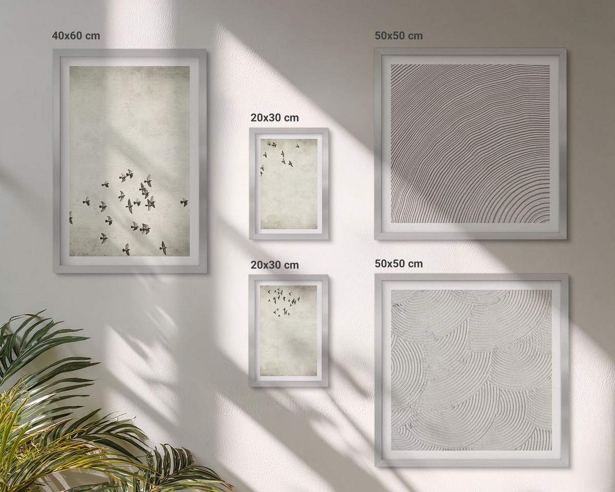 BILDER SET 5er Set - 50x50 cm & 20x30 cm & 40x60 cm Silberner Rahmen - Minimalistische Vogelmalerei - Silberfarben, Kunststoff (40/60cm) - TULUP