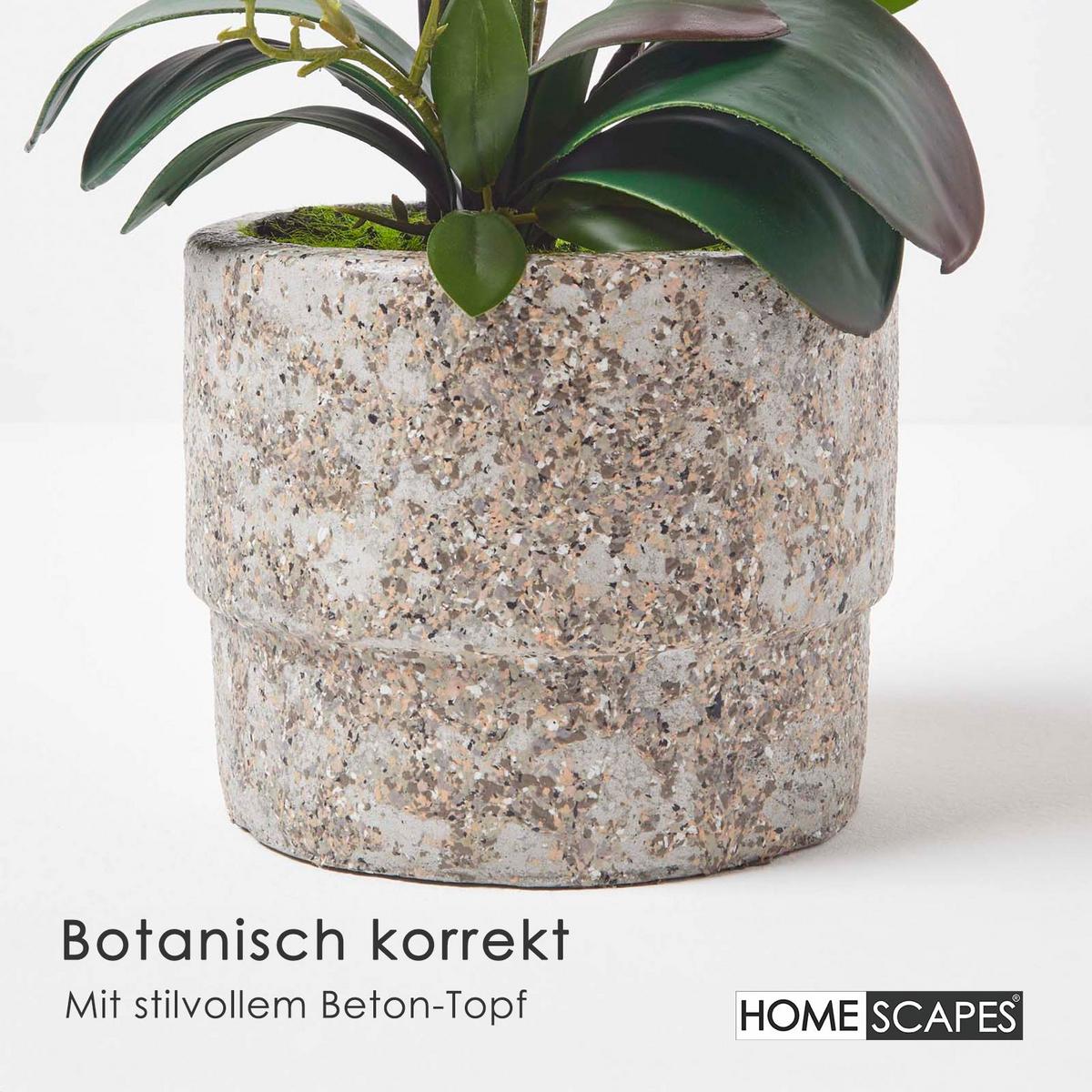 KUNSTBLUME Orchidee pink-weiß im Deko-Topf, 64 cm - Weiß, Kunststoff (64cm) - Homescapes
