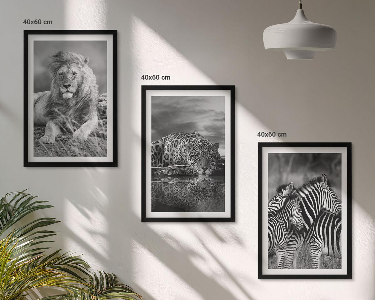 BILDER SET 3er Set - 40x60 cm Schwarzer Rahmen - Wildtiere der Savanne - Schwarz, Kunststoff (40/60cm) - TULUP
