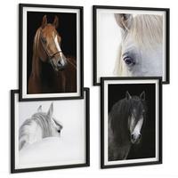 BILDER SET 4er Set - 50x50 cm & 40x60 cm Schwarzer Rahmen - Pferdeporträts in Schattierungen - Schwarz, Kunststoff (50/50cm) - TULUP