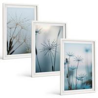 BILDER SET 3er Set - 40x60 cm Weißer Rahmen - Löwenzahn mit Wassertropfen - Weiß, Kunststoff (40/60cm) - TULUP