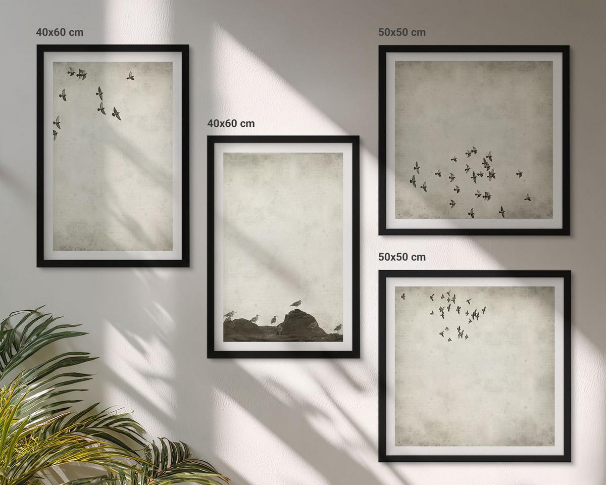 BILDER SET 4er Set - 50x50 cm & 40x60 cm Schwarzer Rahmen - Minimalistische Vogelmalerei - Schwarz, Kunststoff (50/50cm) - TULUP
