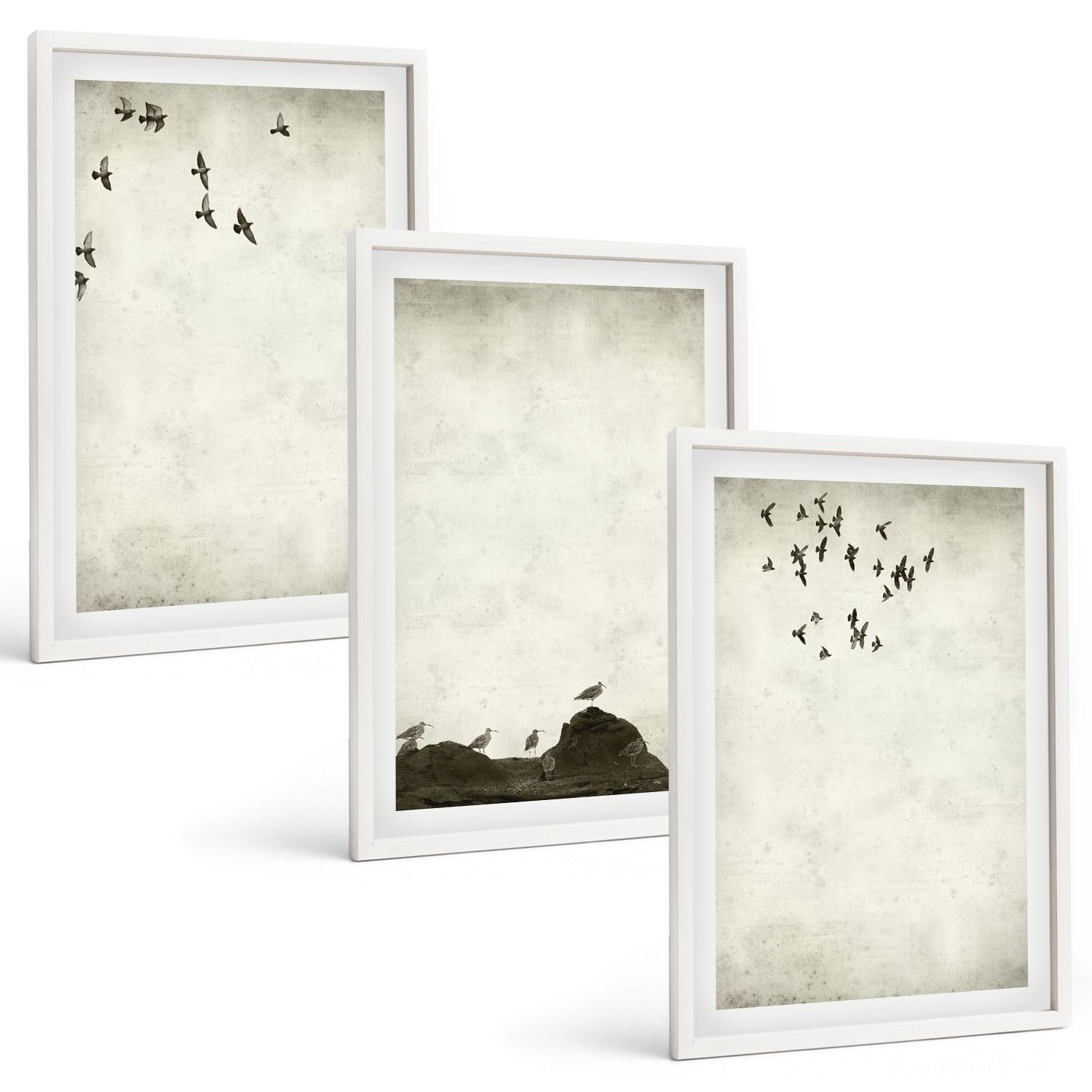BILDER SET 3er Set - 40x60 cm Weißer Rahmen - Fliegende Vögel Minimalismus - Weiß, Kunststoff (40/60cm) - TULUP