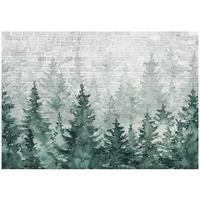 FOTOTAPETE Wald Bäume Grün 416x254 cm - Multicolor, Textil (416/254cm) - Wallarena