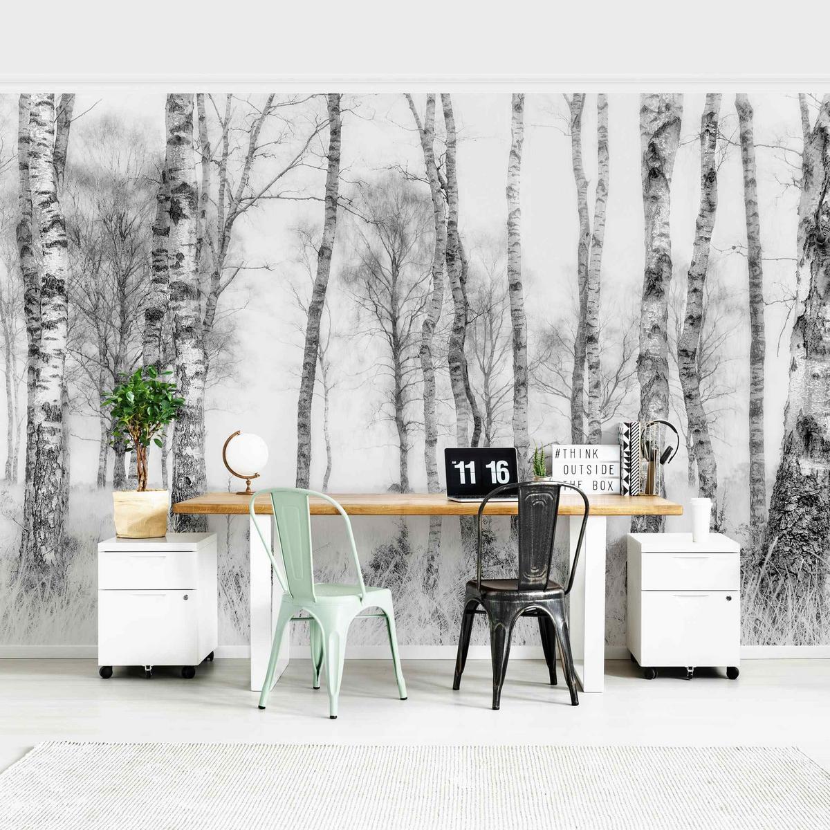 FOTOTAPETE Mystischer Birkenwald Schwarz-Weiß 288/190 cm - Schwarz, Papier (288/190cm) - Bilderwelten