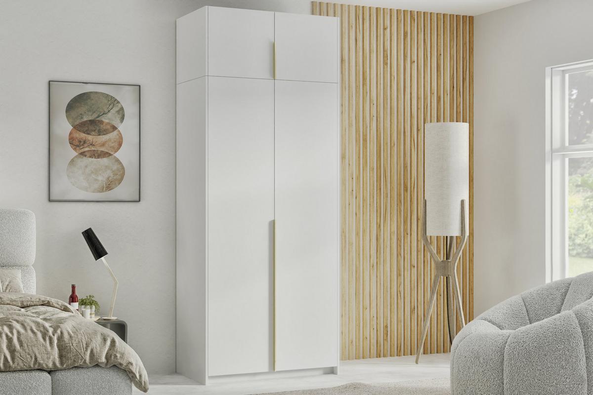 DREHTÜRENSCHRANK AMARA 100/250/58cm 2-türig Weiß - Weiß, Holzwerkstoff (100/250/58cm) - MASSENO