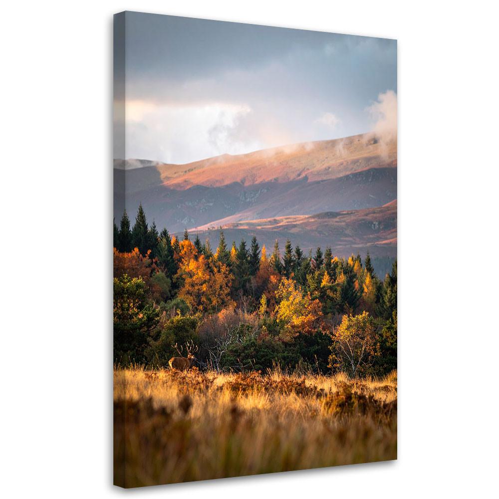 LEINWANDBILD Landschaft Berge Täler Natur 80x120cm - Multicolor, Textil (80/120cm) - Feeby