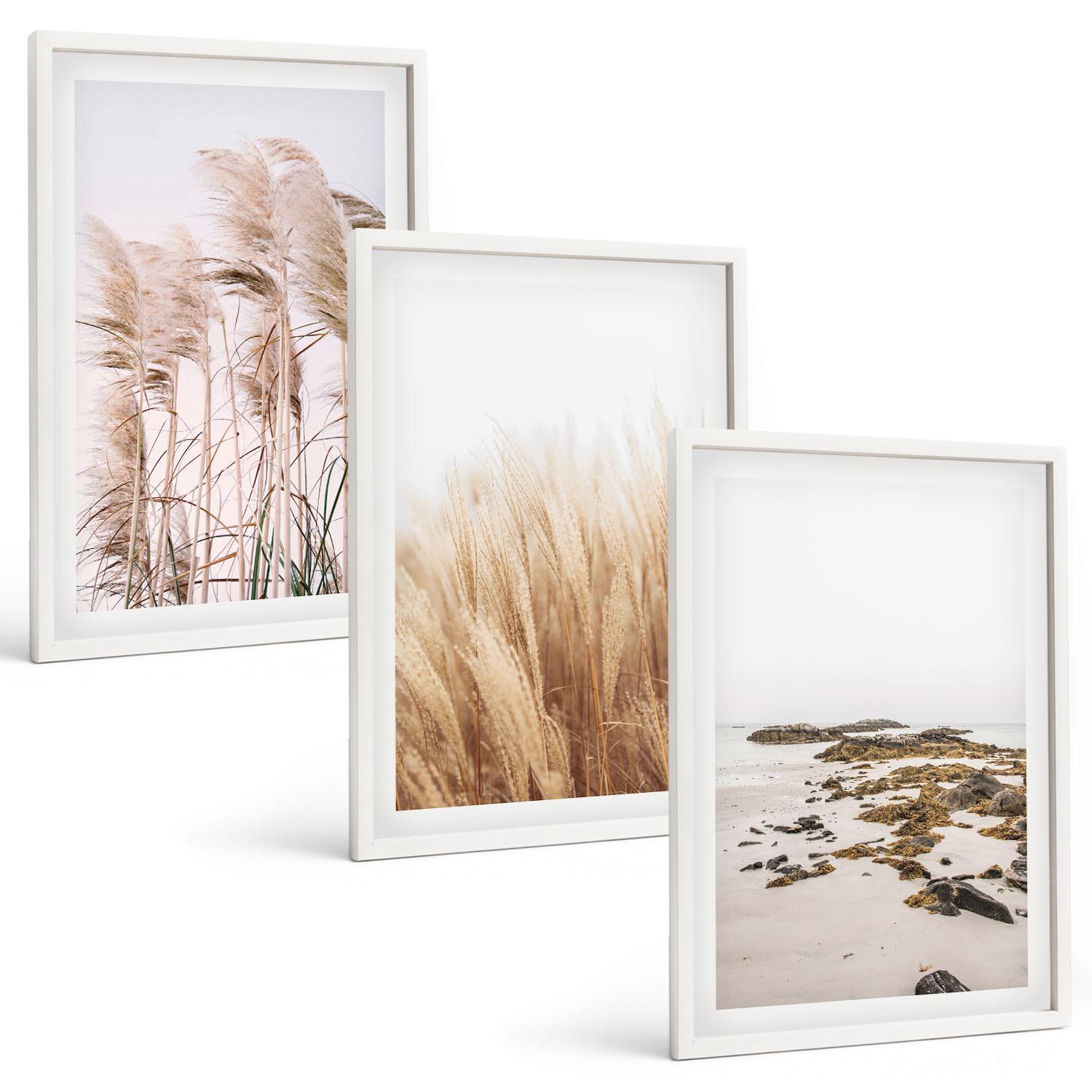 BILDER SET 3er Set - 40x60 cm Weißer Rahmen - Pampasgrasfelder und ein Boho-Strand - Weiß, Kunststoff (40/60cm) - TULUP