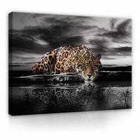 LEINWAND BILDER Tiger Tiere 100x70 - Multicolor, Holzwerkstoff (100/70cm) - Wallarena