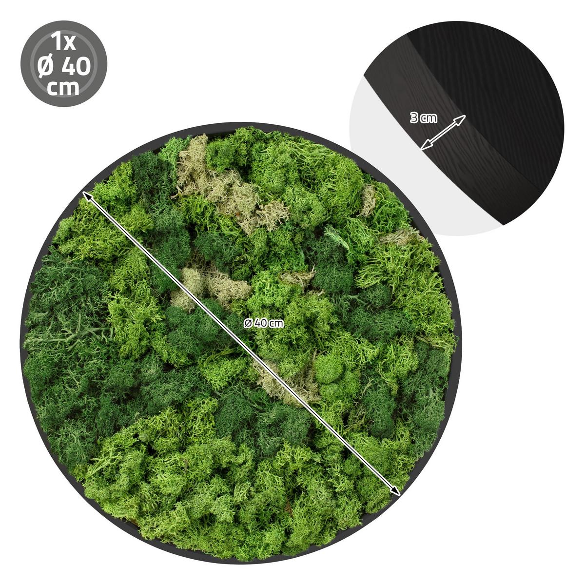 MOOSBILD Rund Ø 40 cm Mooswand Indoor mit Echtem Islandmoos und Holzrahmen Grün Pflegefrei - Salbeigrün, Naturmaterialien (40/40/3cm) - ECD-Germany