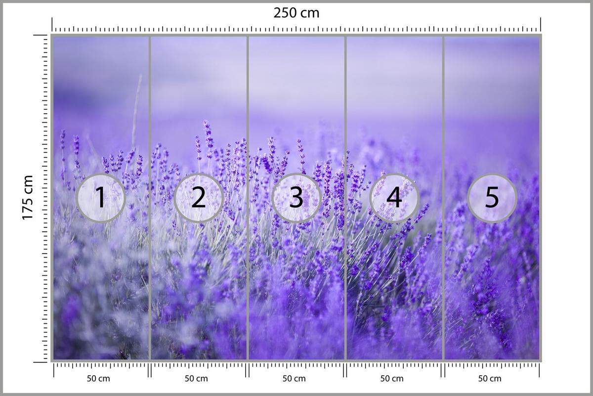 FOTOTAPETE für Küche Lavendelwiese Blüten Fliederfeld 250x175 - Violett/Lila, Papier (250/175cm) - Muralo