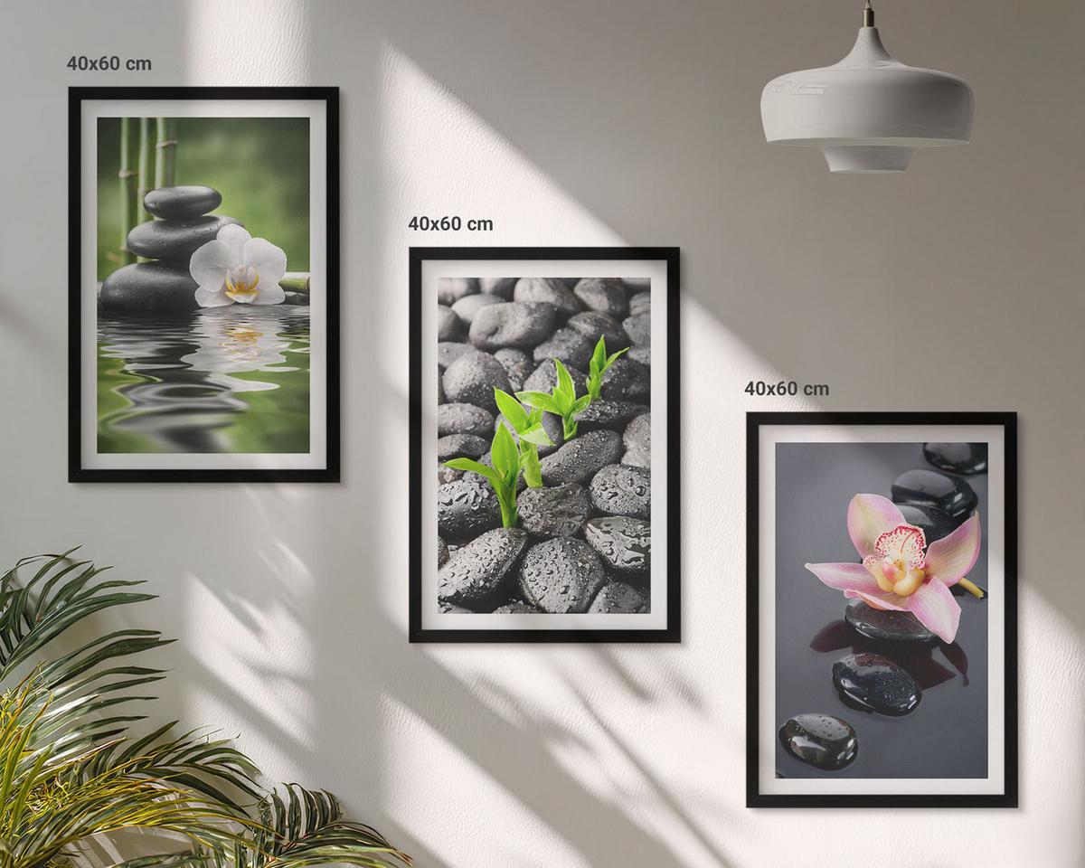 BILDER SET 3er Set - 40x60 cm Schwarzer Rahmen - Eine ruhige Zen-Komposition aus Blumen und Wasser - Schwarz, Kunststoff (40/60cm) - TULUP