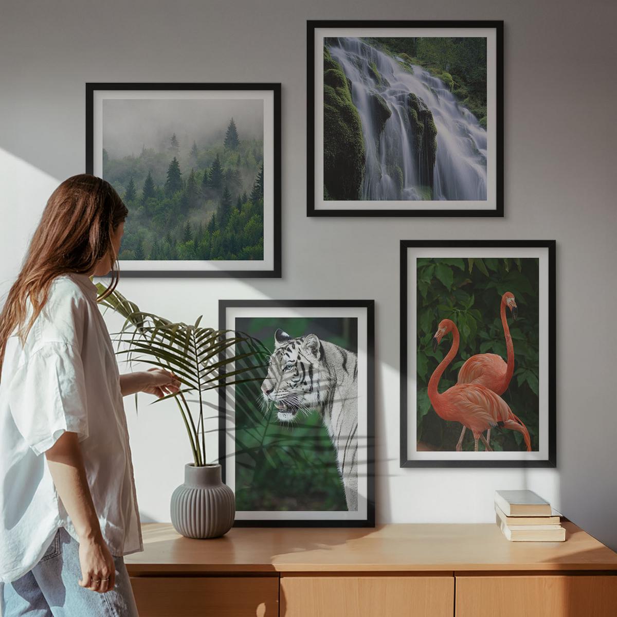 BILDER SET 4er Set - 50x50 cm & 40x60 cm Schwarzer Rahmen - Tiger Wasserfall Flamingos Natur - Schwarz, Kunststoff (50/50cm) - TULUP