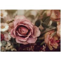 FOTOTAPETE Blumen Rosen Rosa 400x280 cm - Multicolor, Papier (400/280cm) - Wallarena