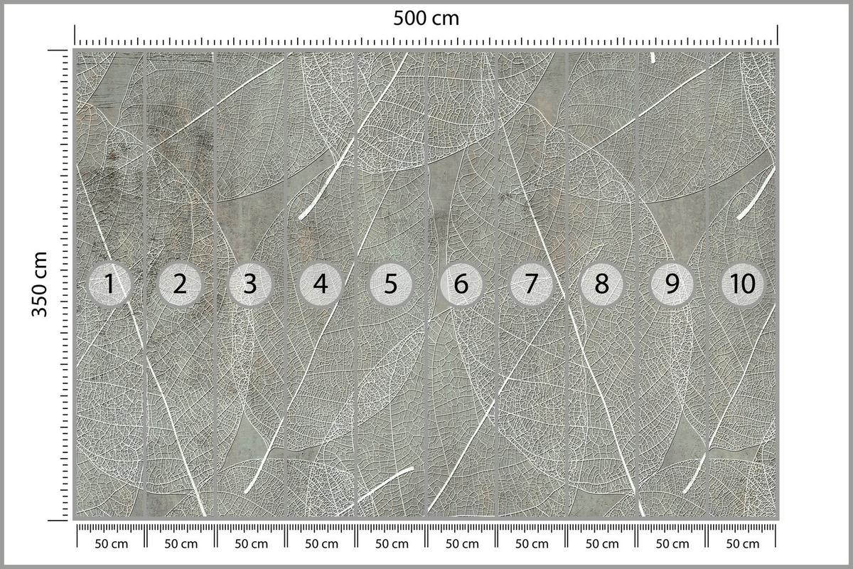 FOTOTAPETE für Schlafzimmer Weiße Blätter auf Beton 500x350 - Weiß/Grau, Papier (500/350cm) - Muralo