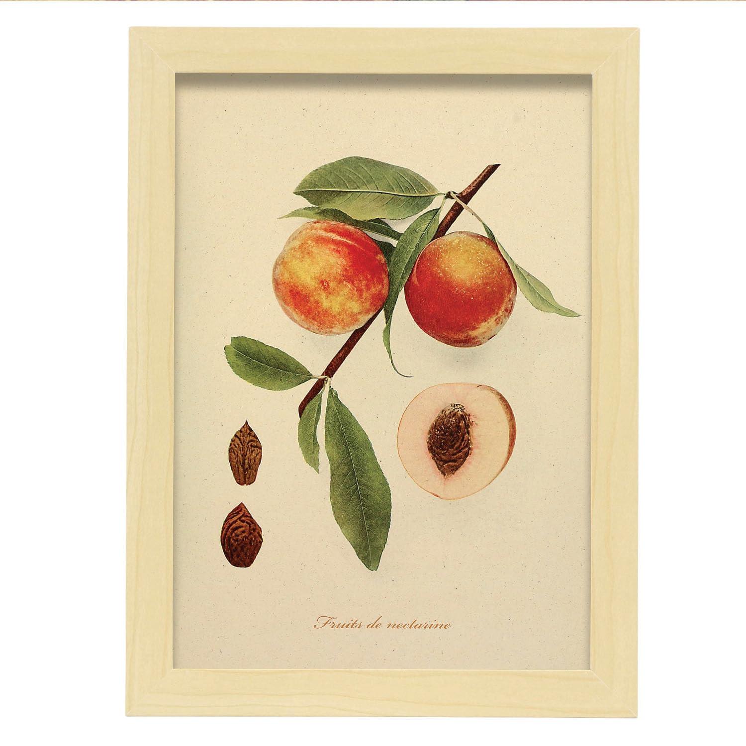 POSTER Pfirsichsamen A4 Rahmen Aus Hellem Holz - Beige, Papier (29.7/5/21cm) - Nacnic