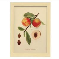 POSTER Pfirsichsamen A4 Rahmen Aus Hellem Holz - Beige, Papier (29.7/5/21cm) - Nacnic