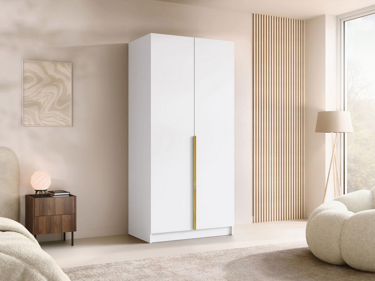 KLEIDERSCHRANK Bono I - Goldfarben/Multicolor, Holzwerkstoff/Metall (100/215/58cm) - MIRJAN24