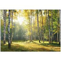 FOTOTAPETE 3D Effekt Wald Wohnzimmer 400x280 - Multicolor, Papier (400/280cm) - Wallarena