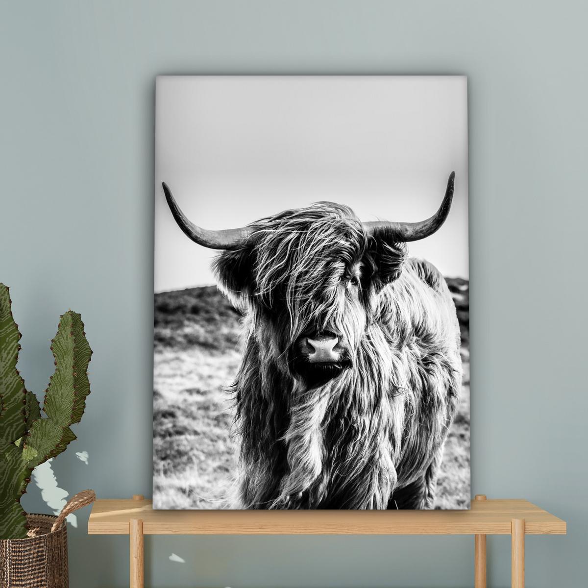 LEINWANDBILD Kuh - Schottischer Hochländer - Schwarz - Weiß - Tier - Natur - Wildtiere Wandbild Wohnzimmer 60x80 cm - Schwarz, Textil (60/80cm) - MuchoWow