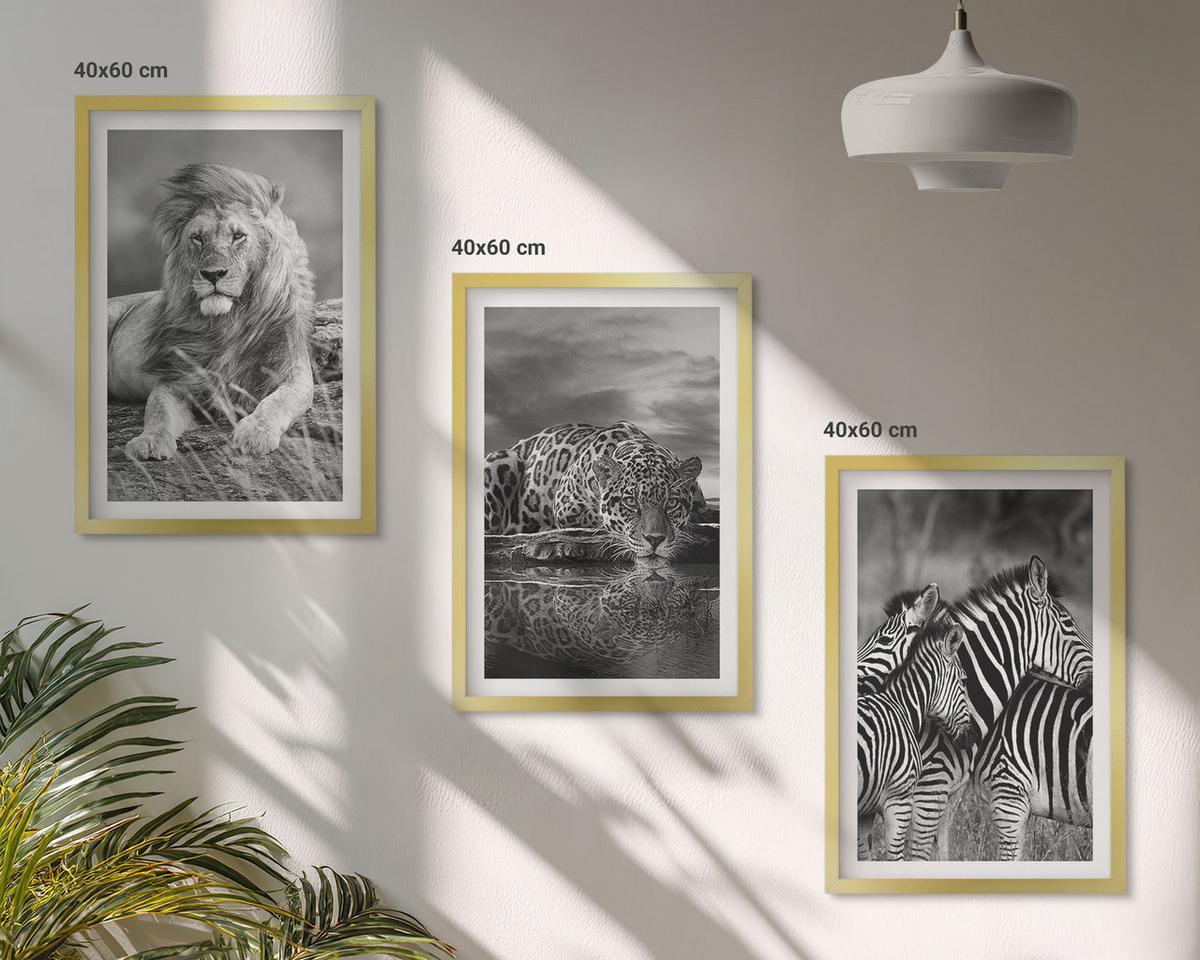 BILDER SET 3er Set - 40x60 cm Goldrahmen - Wildtiere der Savanne - Goldfarben, Kunststoff (40/60cm) - TULUP