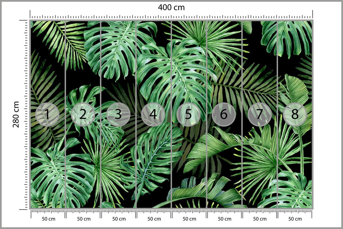 FOTOTAPETE für Schlafzimmer Exotische Grüne Monstera Palmen 400x280 - Schwarz/Grün, Papier (400/280cm) - Muralo