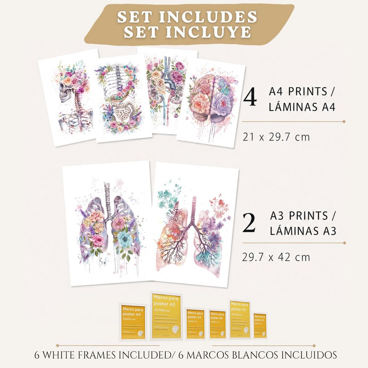 POSTER Set aus 6 Anatomie Mensch Florale Aquarell Drucke und mit Gehirn Lungen Skelett Nieren und Organen Botanische Größe Weißer Rahmen A3 & A4 - Weiß, Papier (29.7/42/3cm) - Nacnic