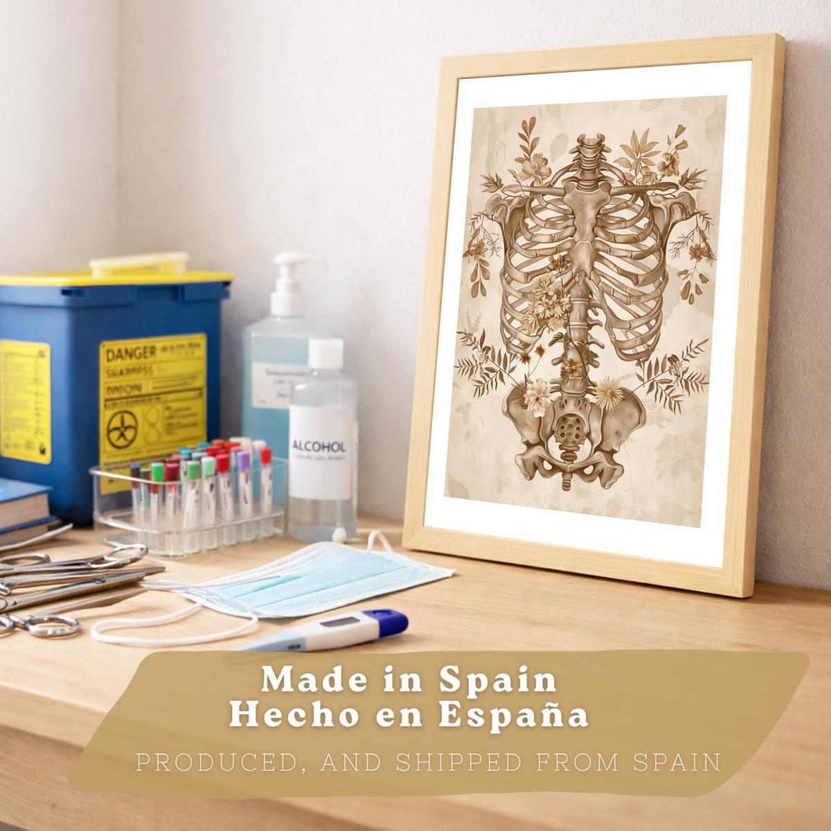 POSTER Set aus 2 Anatomie Mensch Drucke und Wandbilder mit Skelett Schädel Wirbelsäule Rippen Becken Klassischer Stil Größe Leichter Holzrahmen A4 - Beige, Papier (21/29.7/3cm) - Nacnic