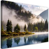 BILDER, Wald im Nebel am See Landschaft - Grün, Textil (45/30cm) - Feeby
