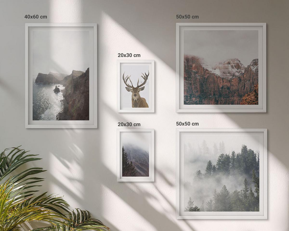 BILDER SET 5er Set - 50x50 cm & 20x30 cm & 40x60 cm Weißer Rahmen - Berglandschaft Nebel Hirsch - Weiß, Kunststoff (40/60cm) - TULUP