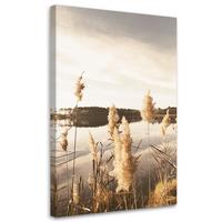 WANDBILD pampasgras am see - Beige, Textil (40/60cm) - Feeby