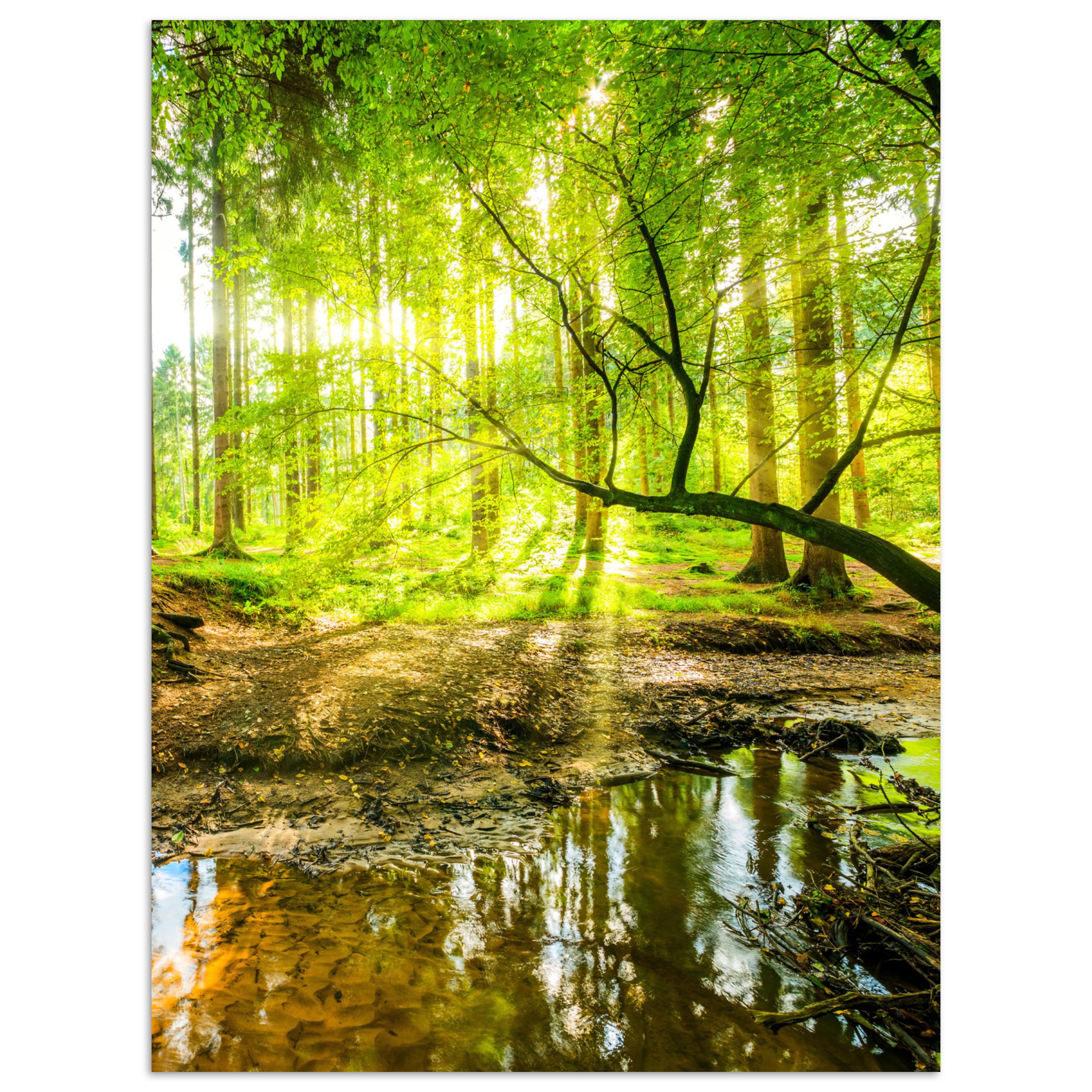 POSTER Wald - Landschaft - Wasser - Bäume - Sonne - Grün - Natur Wandbilder 30x40 cm - Grün, Papier (30/40/0.1cm) - MuchoWow